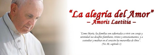 entrevista_exhortacion_apostolica_postsinodal